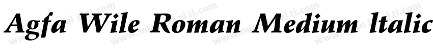 Agfa Wile Roman Medium ltalic字体转换